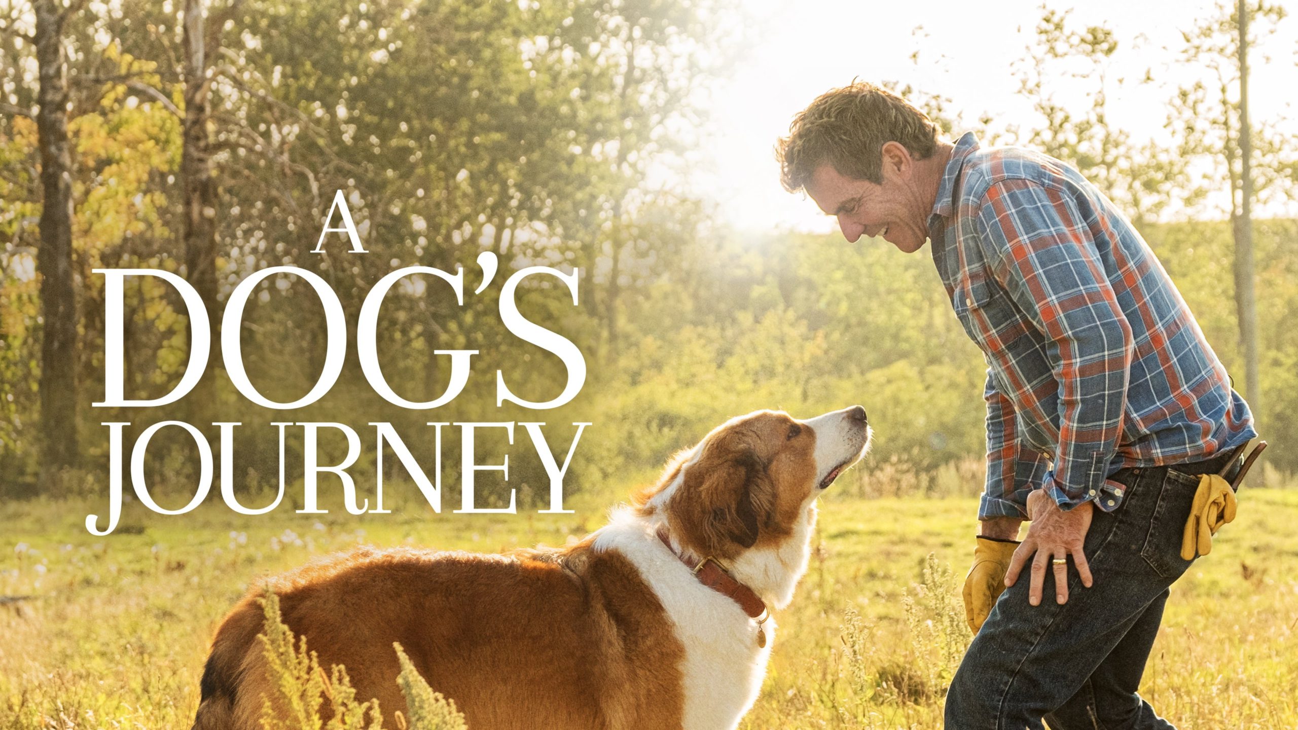 A Dog’s Purpose หมา เป้าหมาย และเด็กชายของผม Netflix