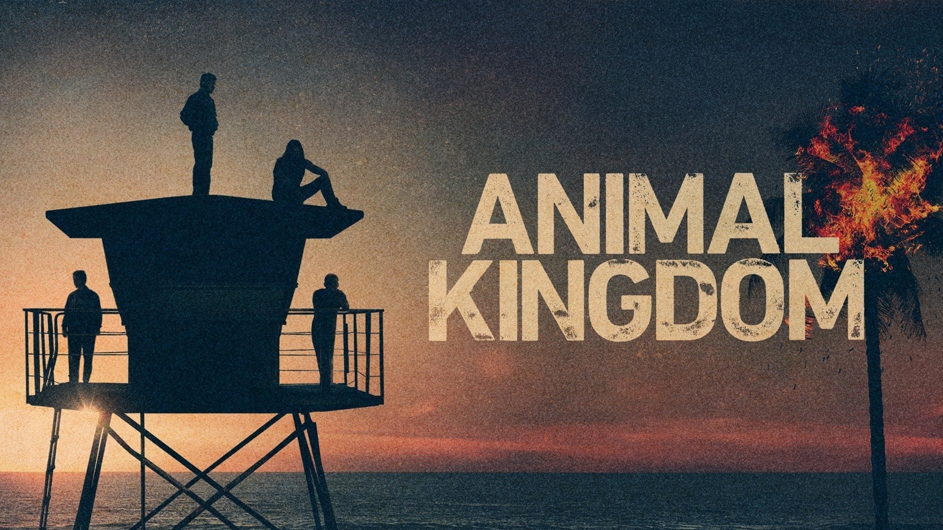 animal kingdom แอนิมอล คิงดอม | Netflix