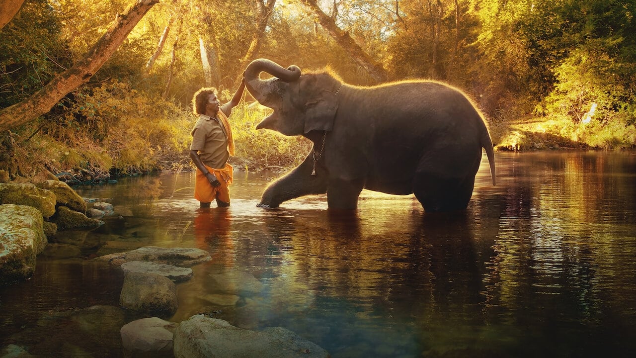 The Elephant Whisperers คนกล่อมช้าง